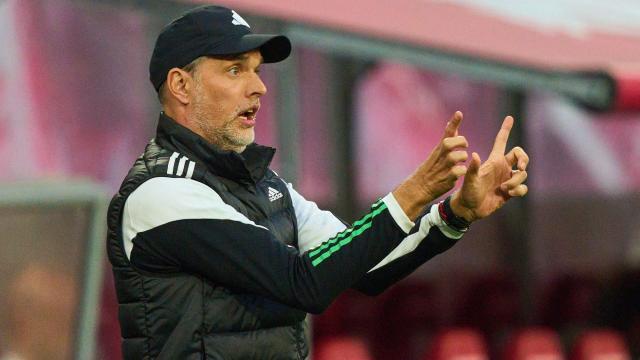 1696164671743021498.jpeg 1696164671743021498.jpeg